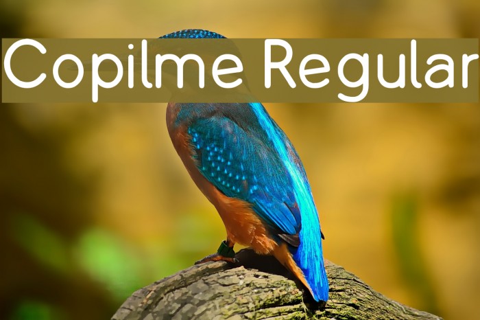 Copilme Regular फ़ॉन्ट examples