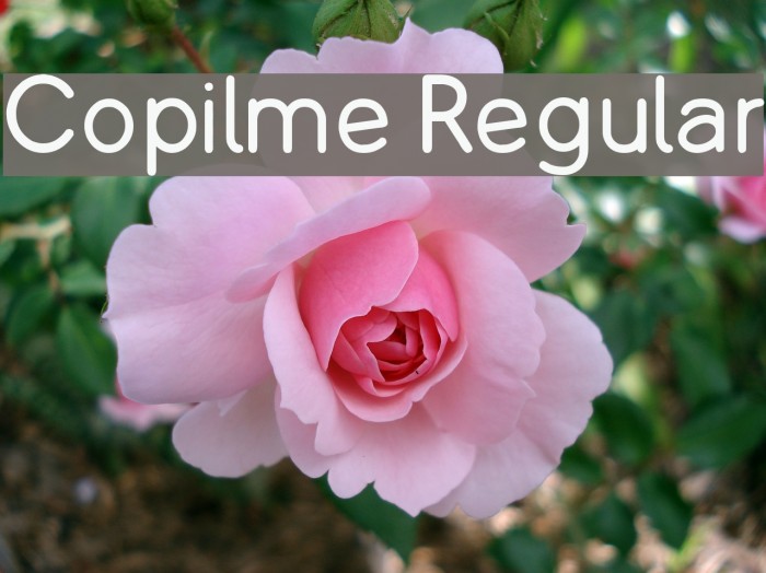 Copilme Regular फ़ॉन्ट examples