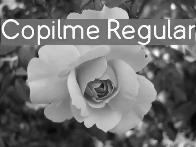 Copilme Regular Font examples
