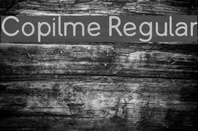 Copilme Regular Font examples