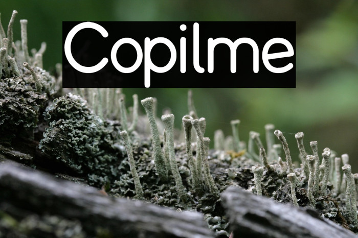 Copilme Example 2