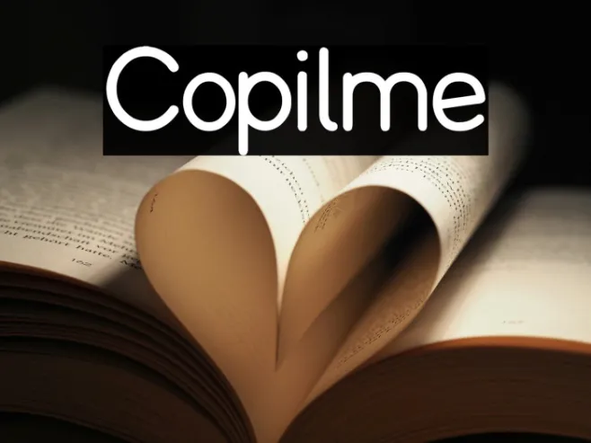 Copilme Example 3