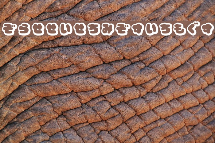 CoppepanCreamHr Example 2