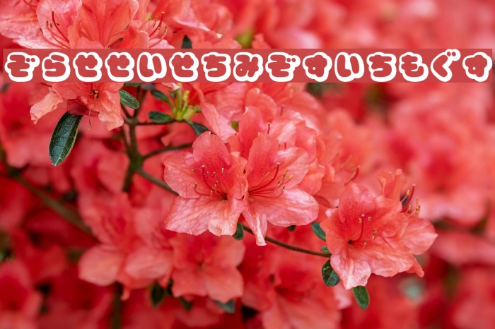 CoppepanCreamHr Example 3