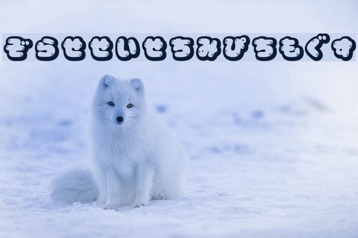 CoppepanJamHr Example 1