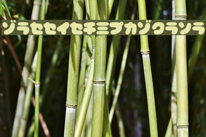 CoppepanKtChoco Example 3