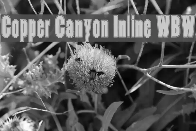 Copper Canyon Inline WBW Font examples