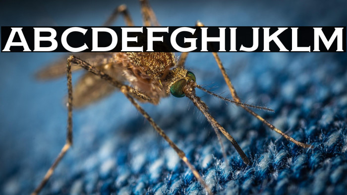 Copper Penny DTP Normal Example 3