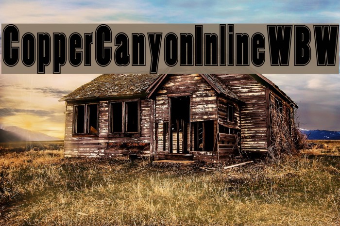 CopperCanyonInlineWBW Example 3