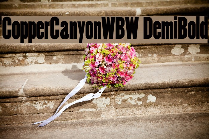 CopperCanyonWBW DemiBold Font examples