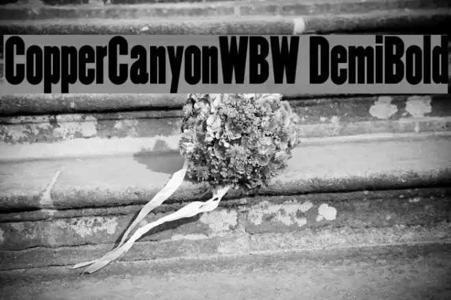 CopperCanyonWBW DemiBold Font examples