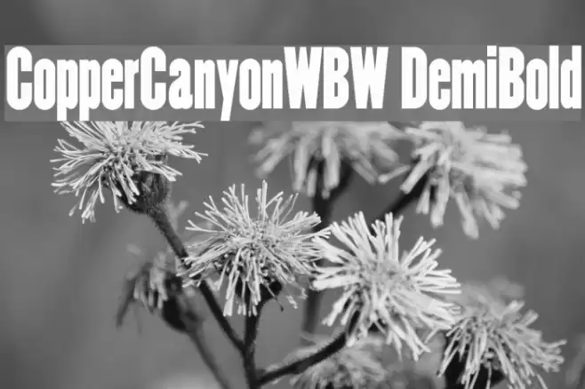 CopperCanyonWBW DemiBold Font examples