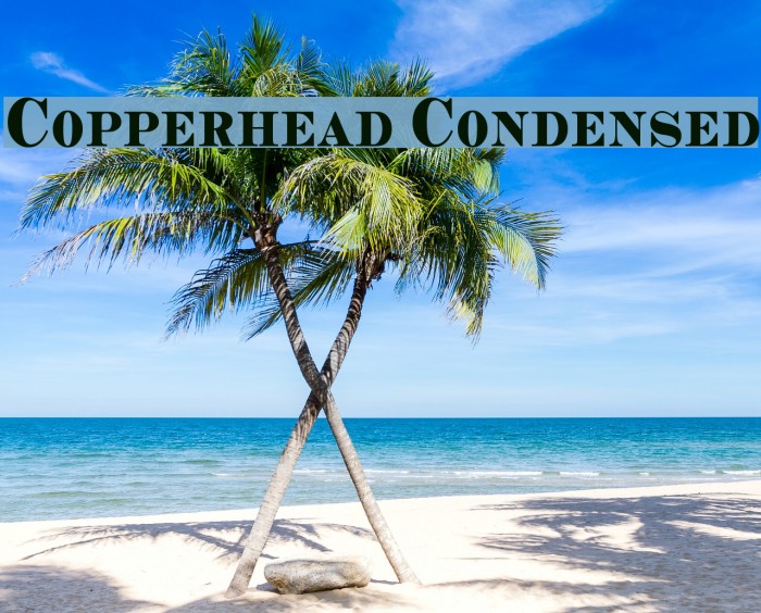 Copperhead Condensed Font