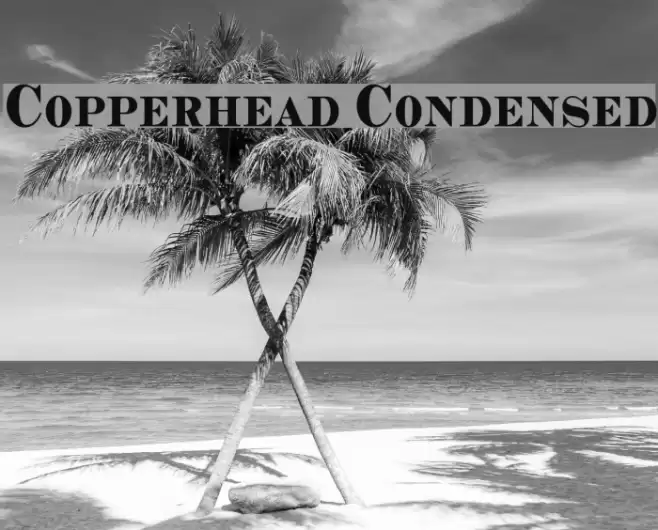 Copperhead Condensed Font examples