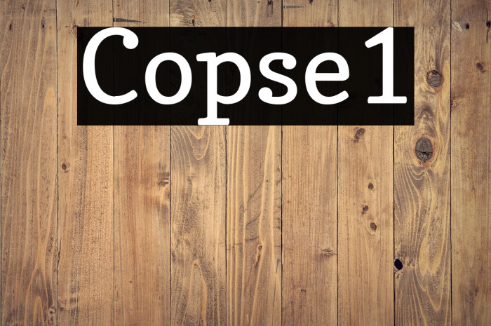 Copse1 Example 3