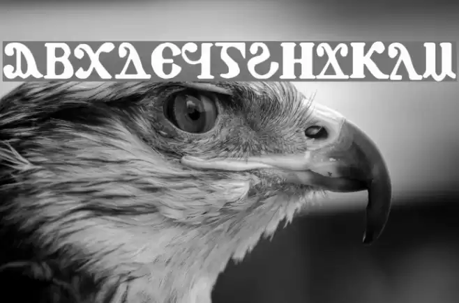 Coptic Eyes Coptic Font examples