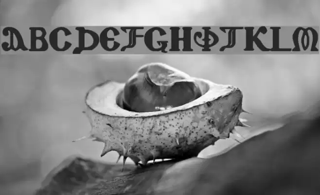 Coptic Eyes Latin Font examples