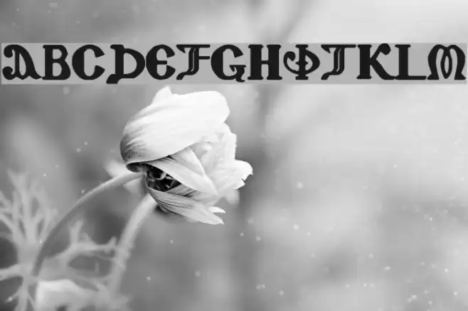 Coptic Eyes Latin Font examples