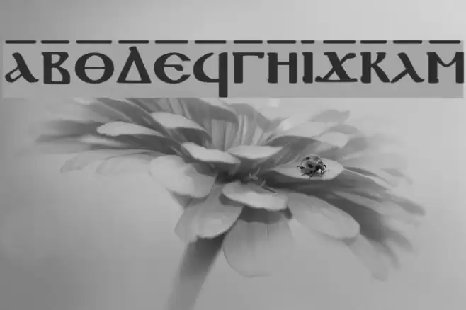 Coptic Normal Font examples