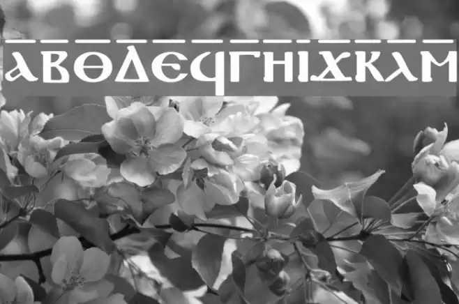 Coptic Normal Font examples