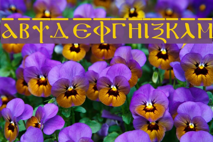 Coptic Regular Font examples