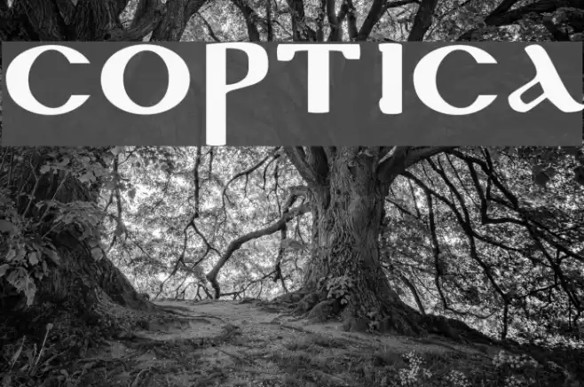 Coptica Font examples