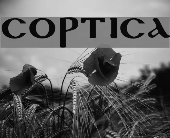 Coptica Font examples