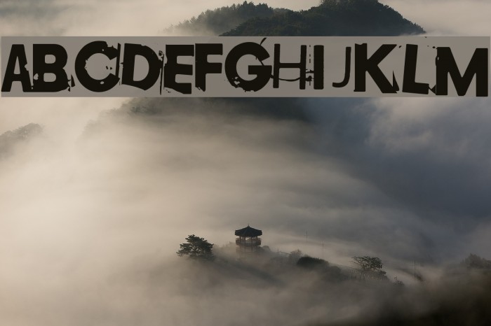 Copy 003 Font examples