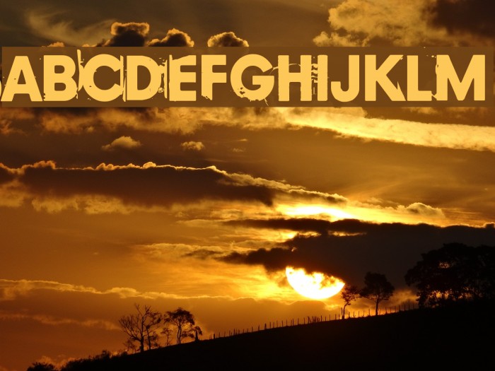Copy 239 Font examples