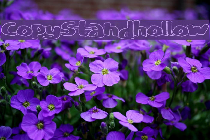 CopyStand hollow Font examples