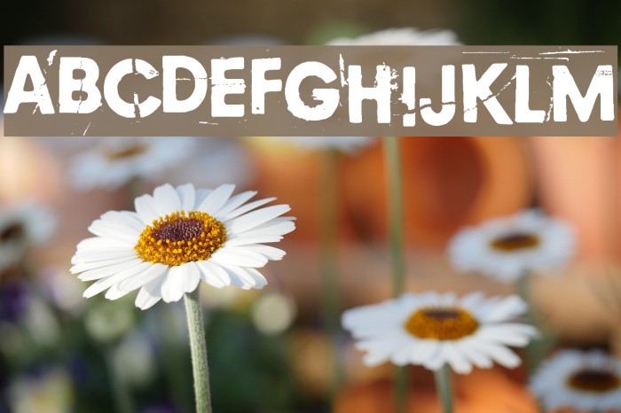 Copycat 759 Шрифта examples