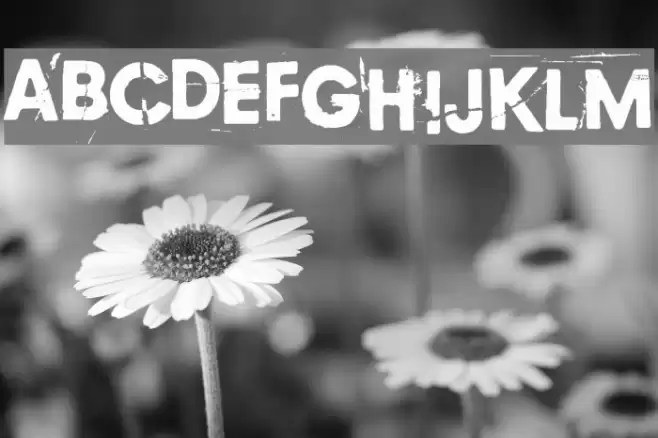 Copycat 759 Font examples