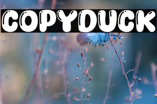Copyduck Example 1