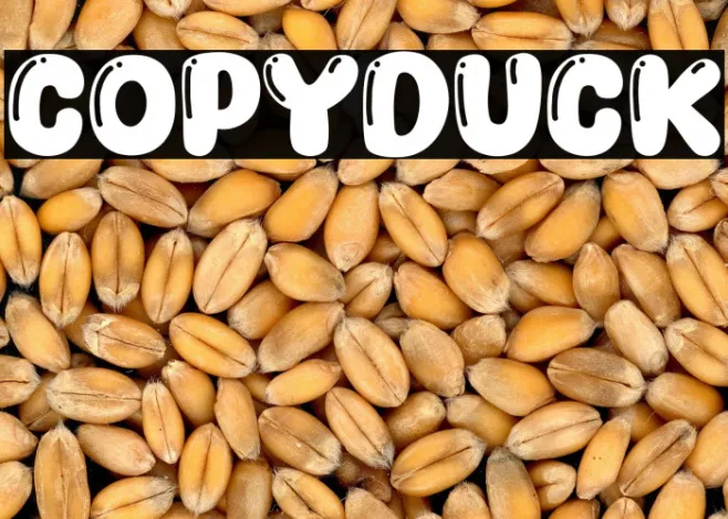 Copyduck Example 2