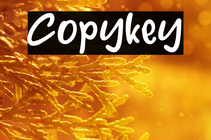 Copykey Example 1