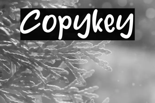 Copykey Font examples