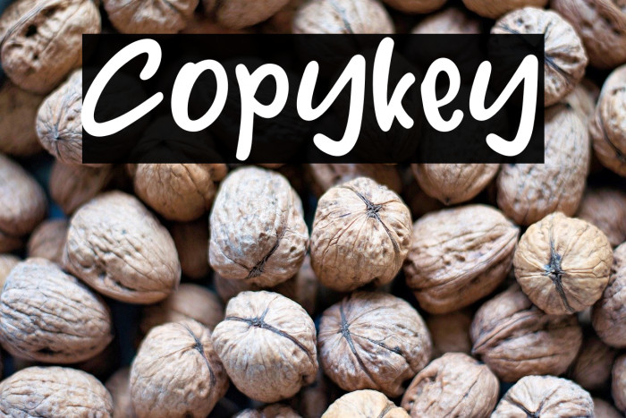 Copykey Example 2