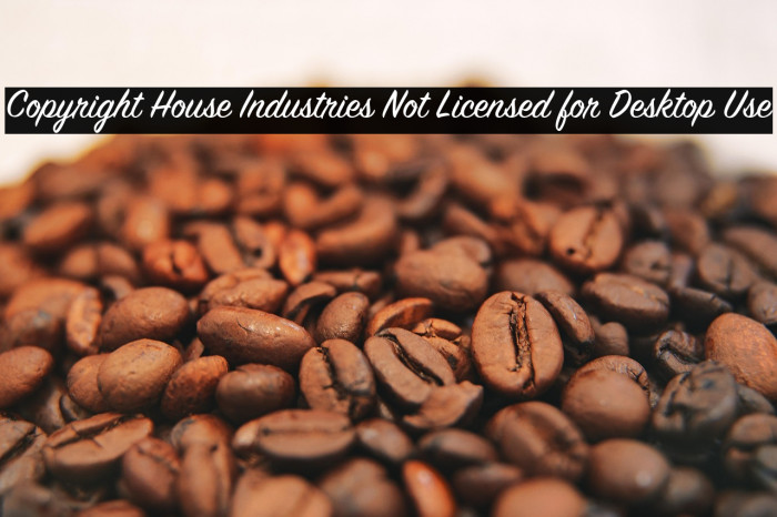 Copyright House Industries Not Licensed for Desktop Use Example 1