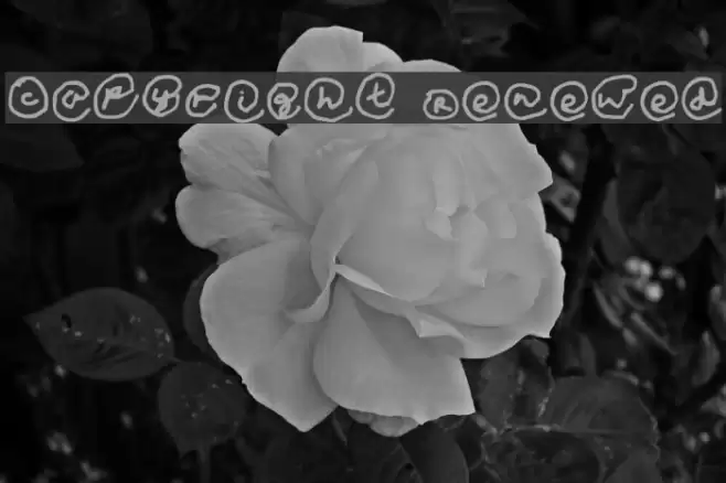 Copyright Renewed Caratteri examples