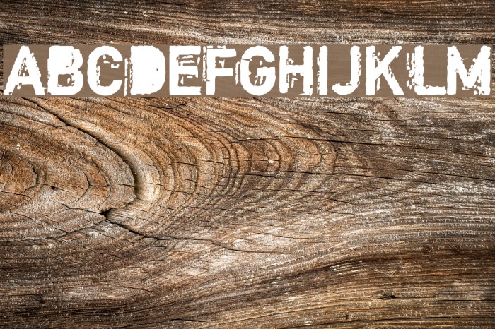 Copystruct Bold Font examples