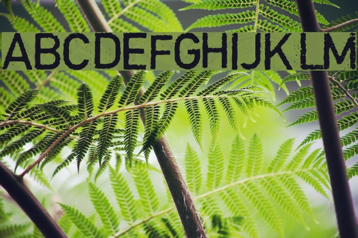 Copystruct Normal Font examples