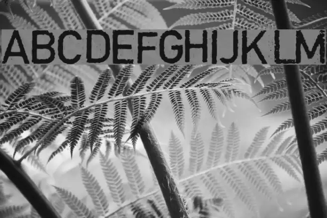 Copystruct Normal Font examples