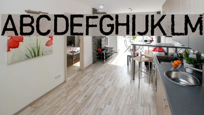 Copystruct Normal Font examples
