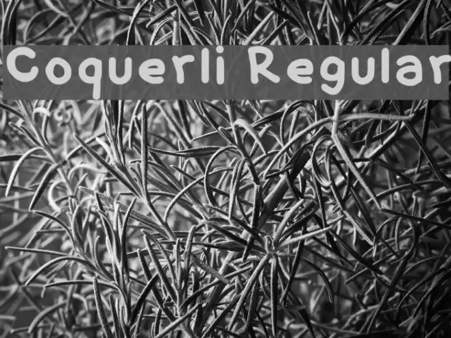 Coquerli Regular Font examples