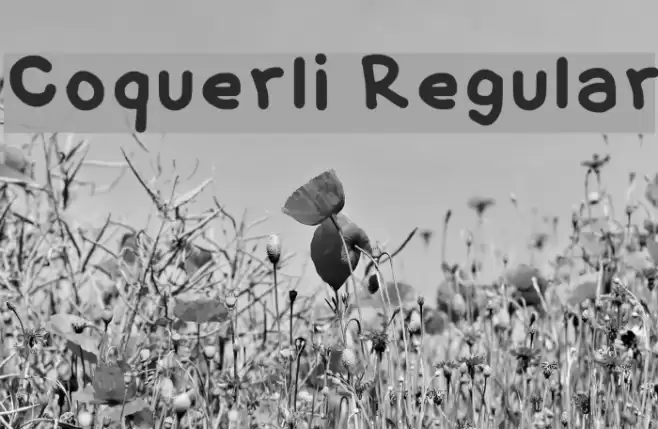 Coquerli Regular Font examples