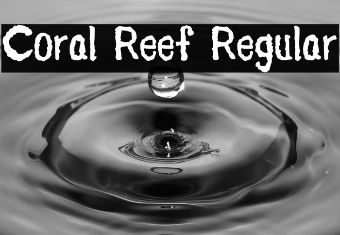 Coral Reef Regular Example 2