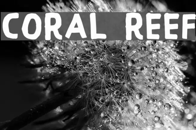 Coral Reef Font examples