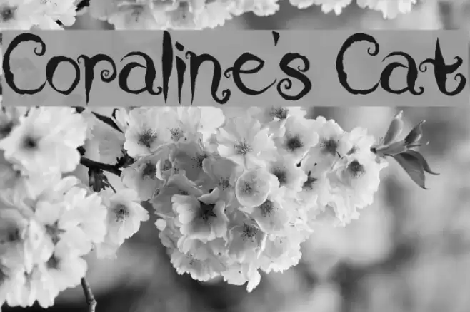 Coraline's Cat Font examples