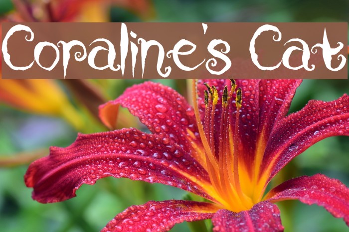 Coraline's Cat Font examples