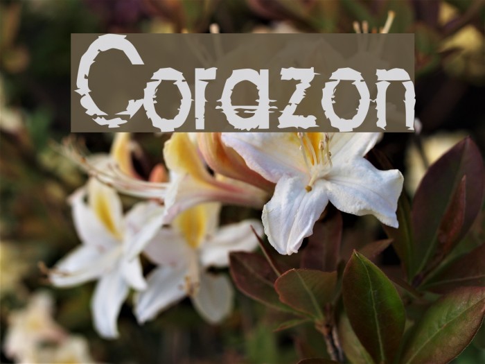 Corazon Example 1